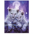thumbnail image 4 of 2 Piezas 5D DIY Diamante Pintura Por Números Kits Tigre Flor Cruz Artesanía Kit de Punto para Decoración Colgante de Pared Baoblaze Kit de pintura de diamante, 4 of 7