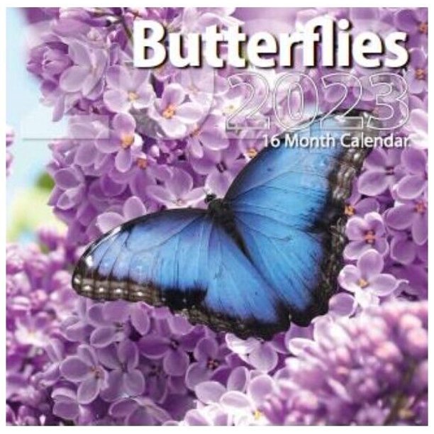 2023 Butterflies Full Size Wall Calendar