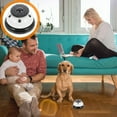 thumbnail image 2 of Pet Training Bells Dog Cat Door Bell Game Call Bell Dog Pet Potty Training Bell, 2 of 7