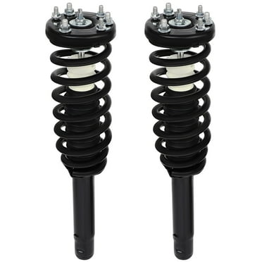 Bilstein 24-187305 Shock Absorber – Replacement Shock For Smooth Ride