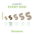 thumbnail image 4 of Benebone Tripe Bone Durable Dog Chew Toy for Aggressive Chewers, Real Tripe, Small, 4 of 6