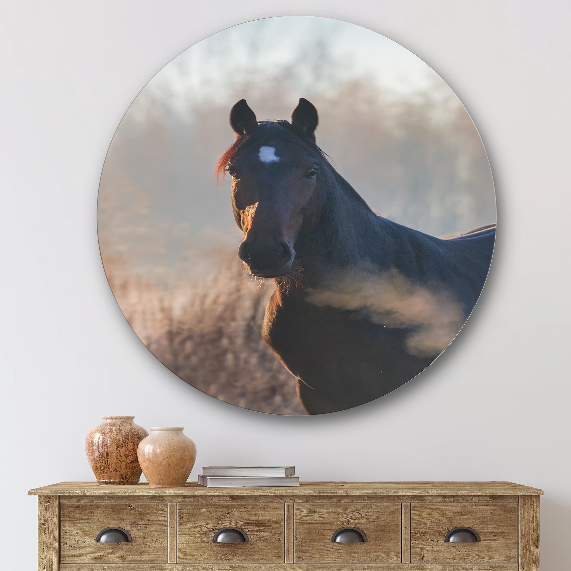 Designart 'Close Up Portrait Of A Horse On An Autumn Morning' Farmhouse Circle Metal Wall Art 29x29 - Disc of 29