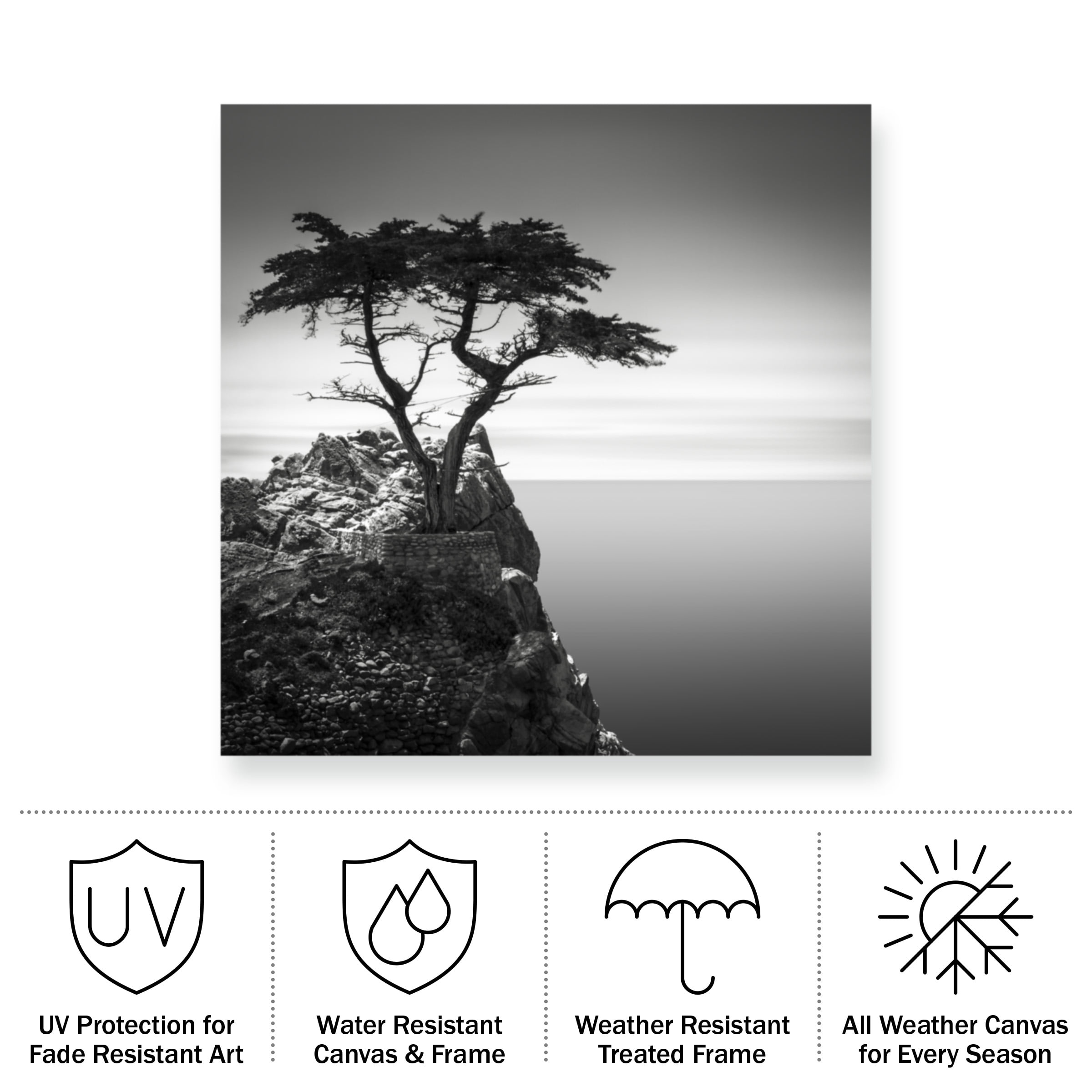 Trademark Fine Art Dave MacVicar The Lone Cypress Outdoor Canvas Art
