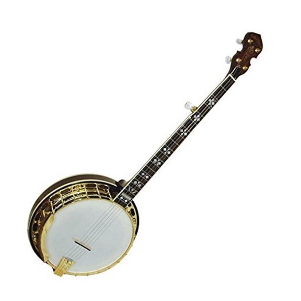 Gold Tone Ob Gold 5 String Banjo W Hard Case Ob 250g Walmart Com Walmart Com