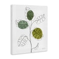 thumbnail image 4 of Stupell Industries Modern Garden Leaves Botanical & Floral Painting Gallery Wrapped Canvas Art Print Wall Art, 30 x 40, 4 of 8