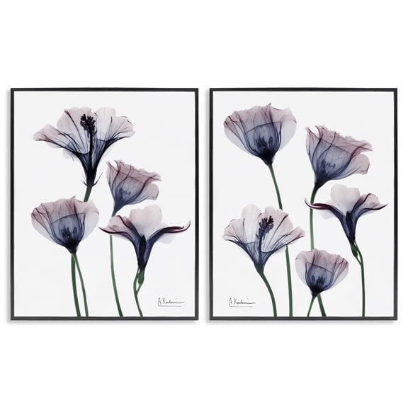 Stupell Industries Bountiful Dusk Lilies Floral Painting Black Framed Art Print Wall Art, 11 x 14, Set of 2
