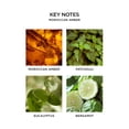 thumbnail image 3 of Frascos de recarga para difusor de pared NEST New York Moroccan Amber, 3 of 7