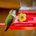 thumbnail image 7 of Unique Bargains 20 Pcs Hummingbird Feeder Parts with 2 Pcs Brush Replacement Flowers for Hummingbird Feeder Pet Hummingbird Feeder Plastic Components Attracts Hummingbirds Yellow, 7 of 7