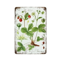 Strawberry Print, Kitchen Wall Art , Botanical Illustration,Retro style, farmhouse decoration, home, bar, restaurant, garage, tin sign 5.5x 8 inches