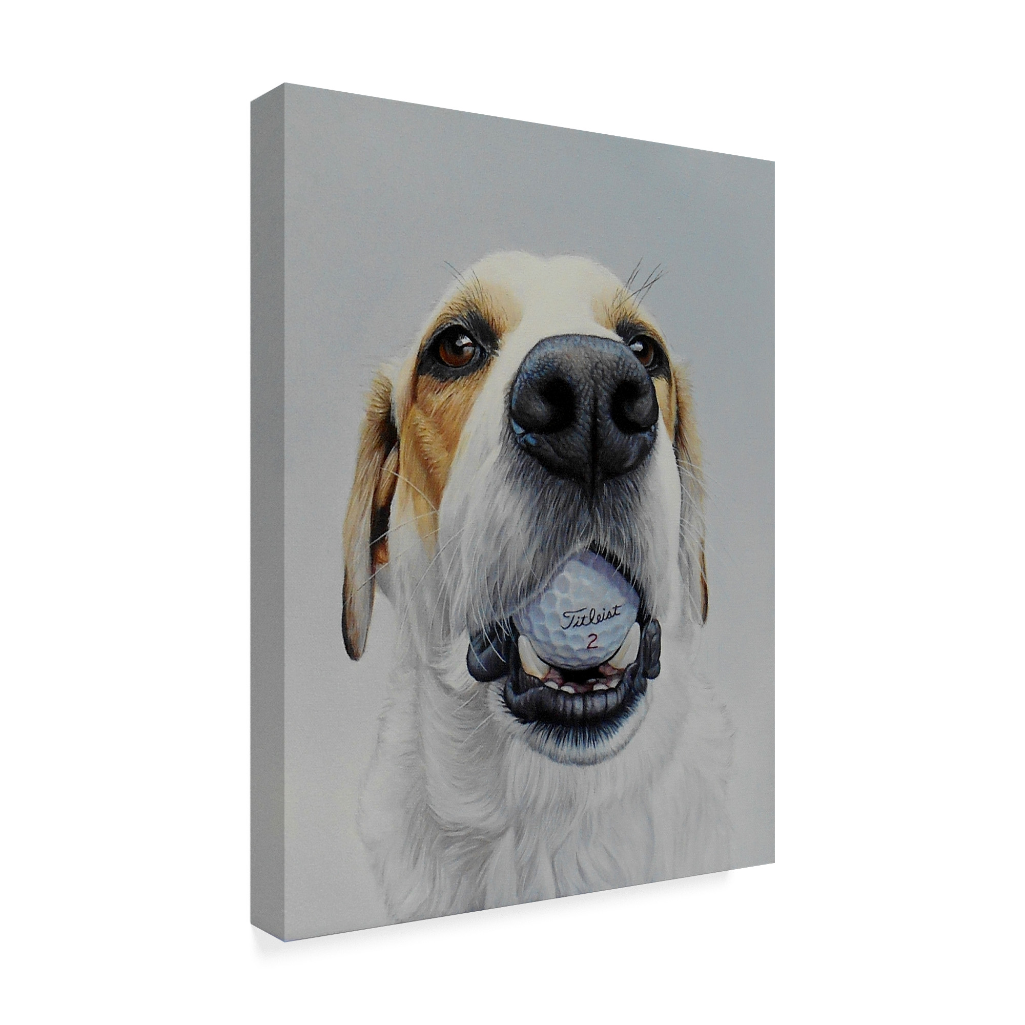 Trademark Fine Art 'Titleist 2' Canvas Art by James Ruby