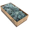 thumbnail image 2 of facefd Natural Dried Reindeer Moss Treated Immortal moss Crafts DIY Floral Decor Light Blue, 2 of 5