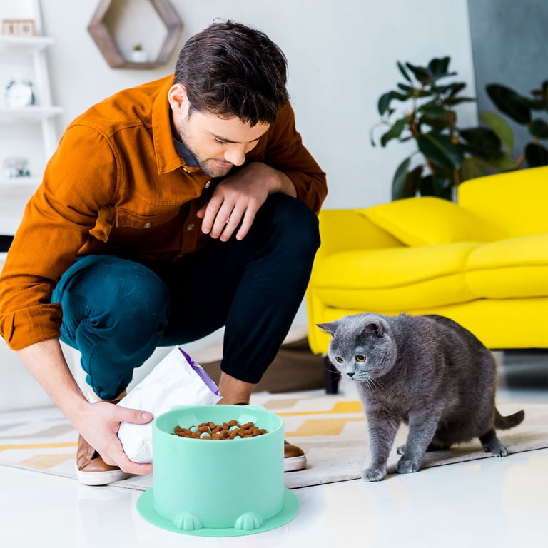 Abaima Slow Feeder Cat Bowls 2 Pack with Non-Slip Mats photo 7
