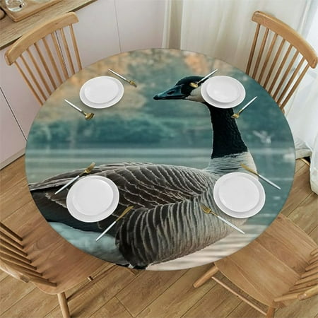 

Autua Geese Water Bridge Round Tablecloth Stain-Resistant Washable for Indoor and Outdoor Dining Kitchen Farmhouse - Ideal for Restaurants Weddings Parties - Great for Home and Holiday Dinner 54 -58
