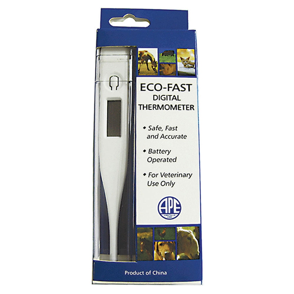 VETERINARY THERMOMETER DIGITAL IDEAL
