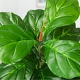 thumbnail image 4 of Danolapsi 39" Artificial Tree Fiddle Leaf Fig Plants Faux Plant Fake Tropical Plant for Home Decor Indoor Outdoor Office Living Room Bathroom Corner, 4 of 9
