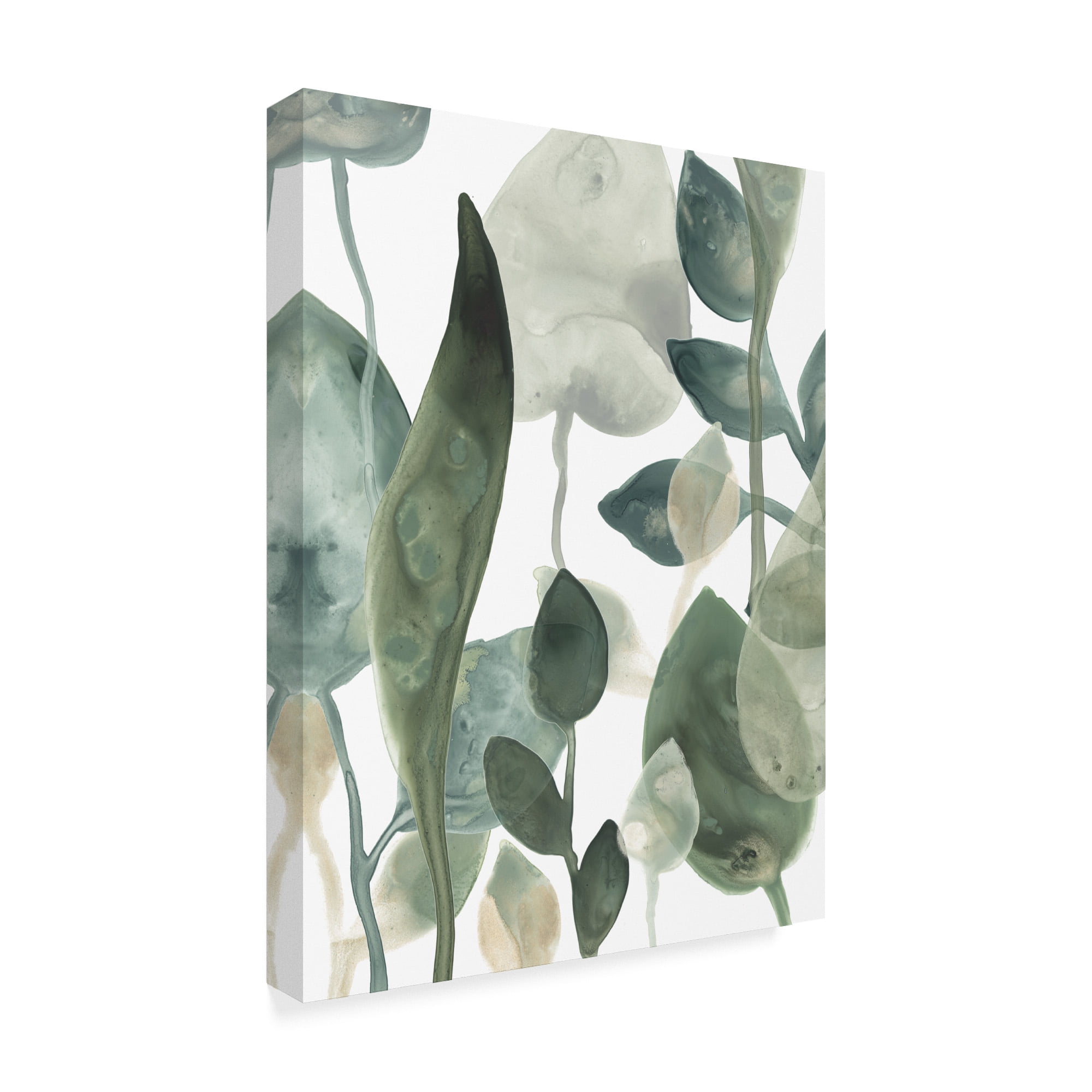 Trademark Fine Art 'Water Leaves III' Canvas Art by June Erica Vess