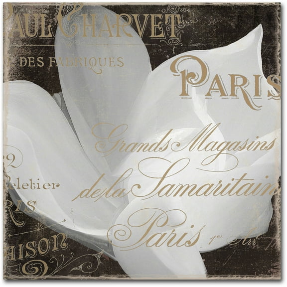Trademark Fine Art "Fleurs Blanc II" Canvas Art by Color Bakery