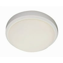 Trans Globe Lighting - 13 Inch Flush Mount-White Finish