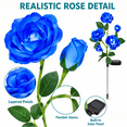 thumbnail image 6 of Rirool 2 Pack Blue Solar Rose Flower Stake Lights, 10 LED Artificial Roses, Waterproof Dusk to Dawn Outdoor Garden Pathway Decor for Yard Patio Walkway Party Christmas Landscape, 6 of 8