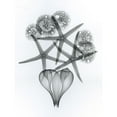 thumbnail image 3 of Koetsier, Albert 12x14 Black Modern Framed Museum Art Print Titled - Sacred Sea, 3 of 5