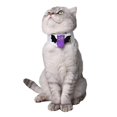 thumbnail image 1 of 2pcs De Vacaciones De Halloween Mascota Ajustable Pajarita / Elf Collar Pajarita Yinane Pajarita del perro del gato del animal doméstico, 1 of 8