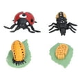 thumbnail image 1 of Fugacal Ladybug Growth Cycle,Ladybug Kit,Life Cycle Figurines Lifelike Vinyl Ladybug Life Cycle Model Set For Kids Education Insect Themed Party Favors, 1 of 8