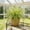 green-4A, variant on MMJ Artificial Plants Faux Greenery Bush 23.62x23.62x22.83in Plastic Realistic Wall Hanging Shelf Home Office Indoor Outdoor Decor