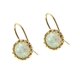 thumbnail image 2 of Pendientes de ópalo chapados en oro Pendientes que muestran temperamento Pendientes de circonita, 2 of 7