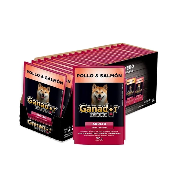 Alimento para perro Ganador Premium pollo y salmón 22 pzas
