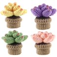 thumbnail image 2 of 38PCS Crochet Kit Crochet Potted for Beginners DIY Plants Craft Crochet Knitting Kit with Step-by-Step Video Tutorial for Home Decor(Not Include Finished Product), 2 of 11