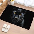 thumbnail image 2 of Bathroom Rug Washable 2x3 Entryway Rug Non Slip Front Door Mat Low Pile Indoor Doormat Throw Floor Carpet for Kitchen Bedroom Entrance, 2 of 9
