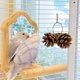 thumbnail image 5 of Hamaca portátil de pino suave, soporte para relajarse, de madera, estilo minimalista, para sala de estar, duradera y ligera, ideal para relajarse en casa.,Wsvlmg, 5 of 8