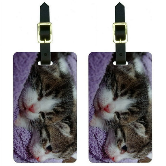 Kittens Kitty Cats Luggage Tags Suitcase Carry-On ID, Set of 2