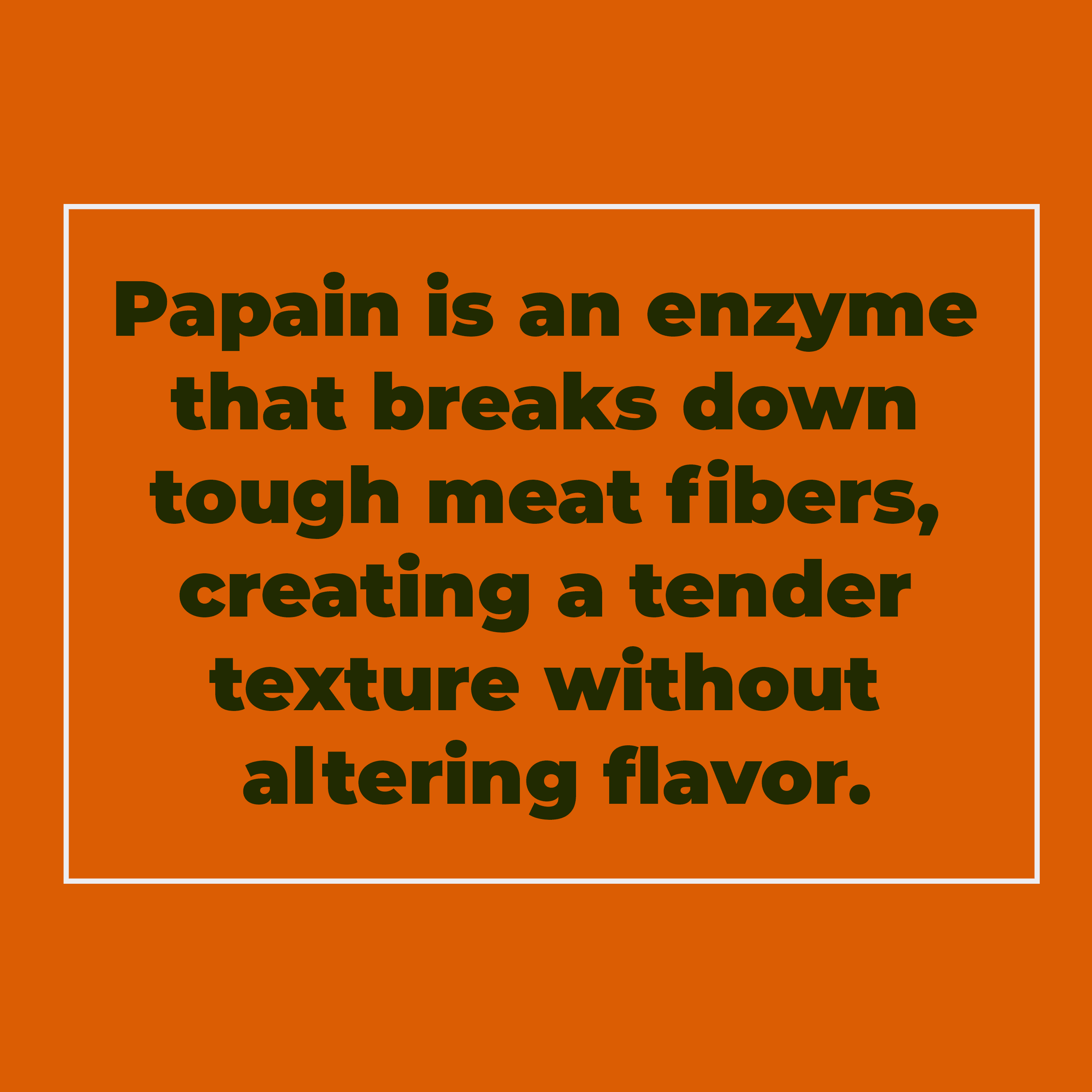 crait Papain Powder 35 TU/mg, Salt-Free Papain Meat Tenderizer Powder Derived from Papaya 4 Ounce