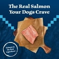 thumbnail image 4 of Blue Buffalo Wilderness Wild Bits Soft & Chewy Dog Treats, Grain-Free, Salmon, 4-oz. Bag, 4 of 10