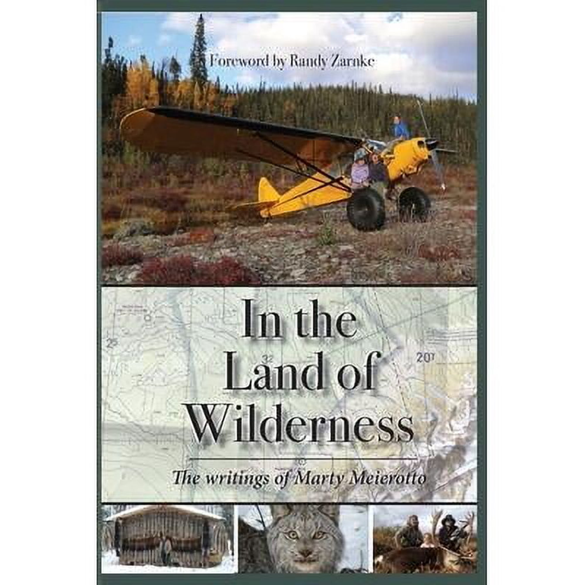 In the Land of Wilderness (Paperback)