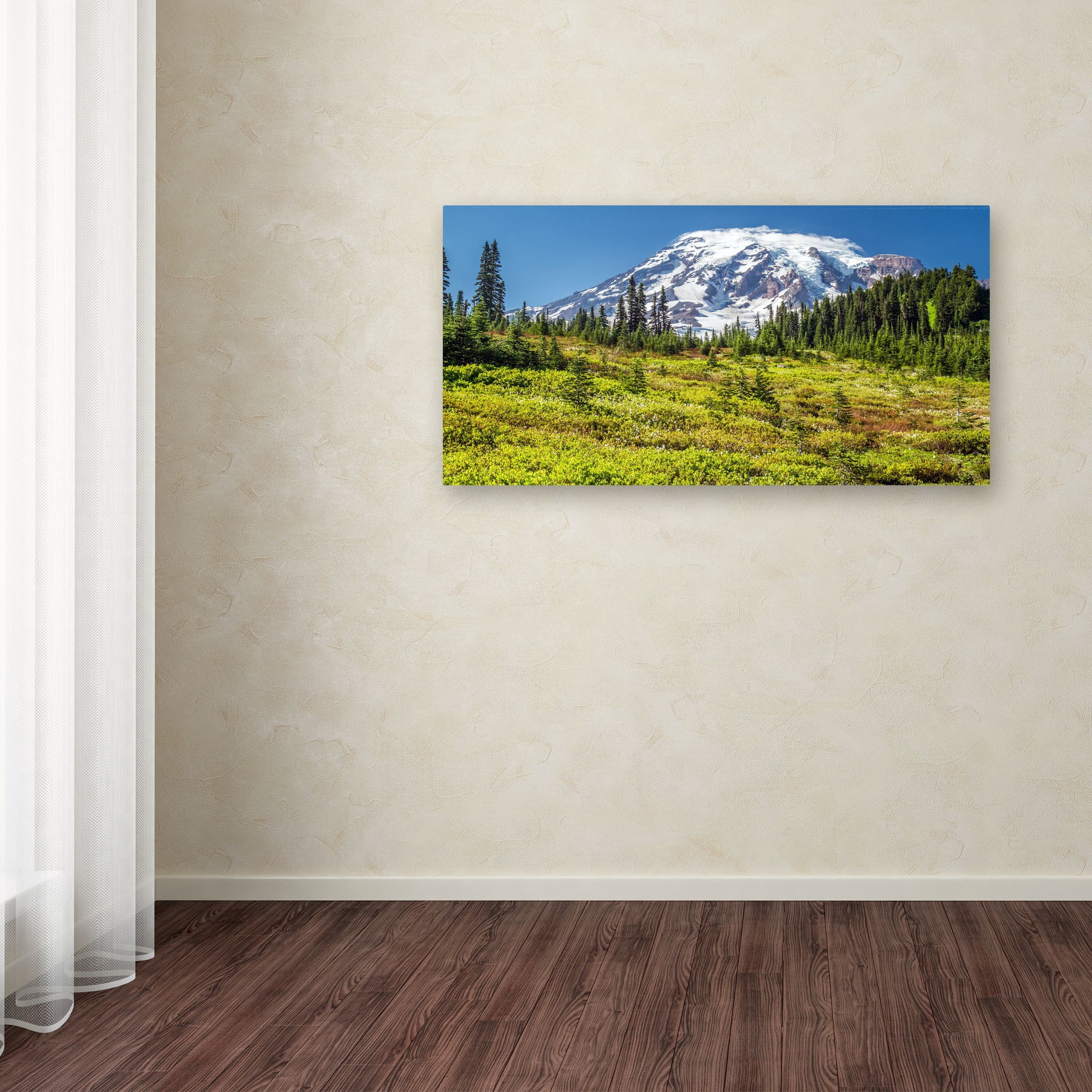 Trademark Fine Art "Mount Rainier Meadow" Canvas Art by Pierre Leclerc