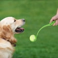 thumbnail image 2 of Juego de 2 lanzadores, 5 pelotas de tenis incluidas, para perros, verde-azul, 50 cm, 2 of 5