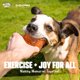 thumbnail image 4 of Juguete para Perro Gnawsome Squeaker Cube con Púas para Salud Dental, 4 of 8