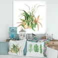 thumbnail image 3 of Designart 'Tropical Leaves Air Plant Succulent On White' Farmhouse Framed Art Print, 3 of 4