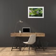 thumbnail image 3 of Rotenberg, Nancy 14x11 White Modern Wood Framed Museum Art Print Titled - Maine, Northeast Harbor Green garden Scenic, 3 of 4