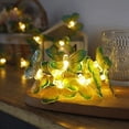 thumbnail image 3 of Guirnalda de luces de libélula, 10 pies, 20 LED, estilo retro, alambre de cobre, luces de hadas de mariposa, árbol de Navidad con pilas, jardín, boda, 3 of 5