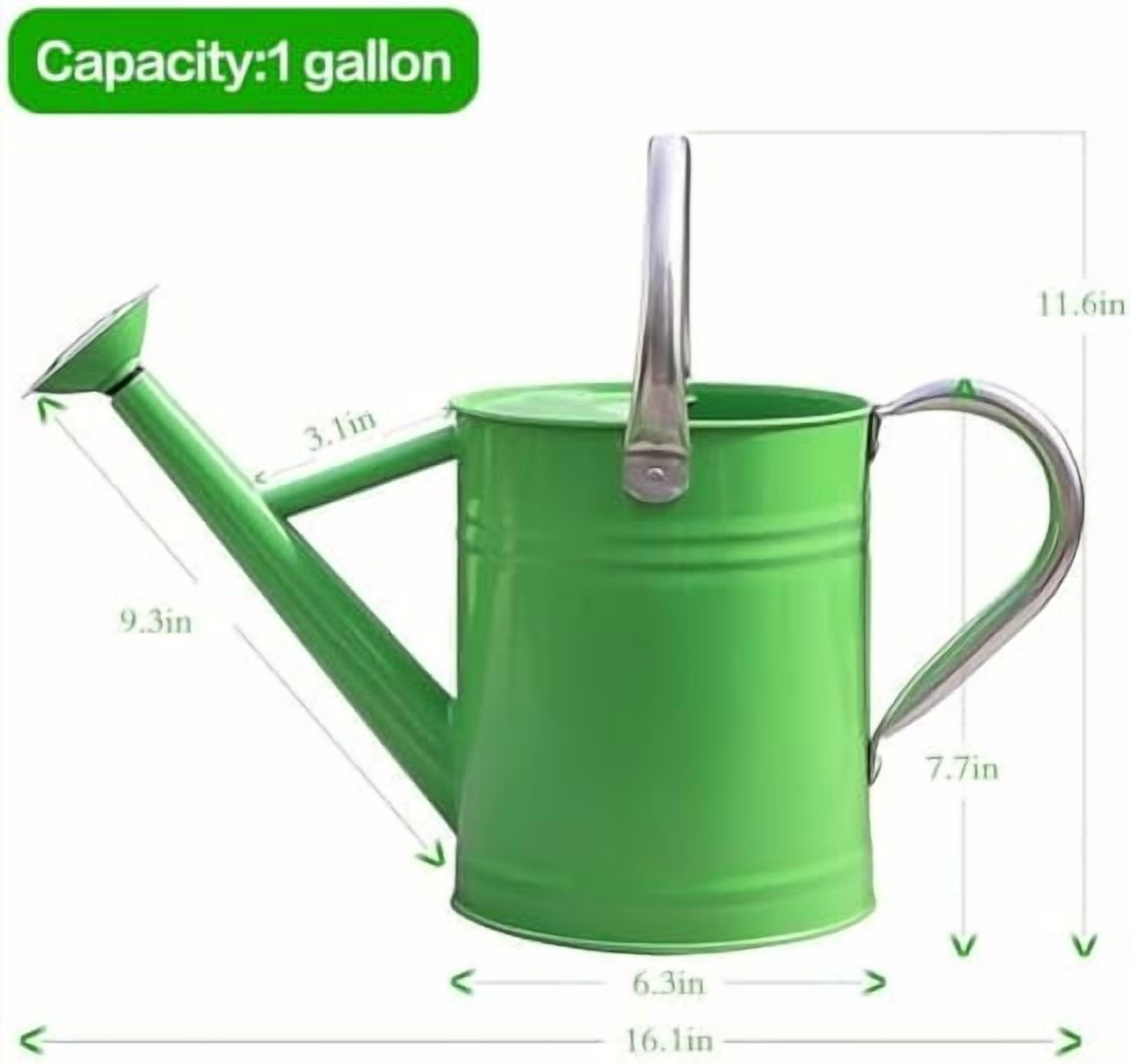 Metal Watering Can, One Gallon Watering Cans Stainless Steel for Outdoor Indoor Garden Plants Watering (Stainless Steel Handle Green)