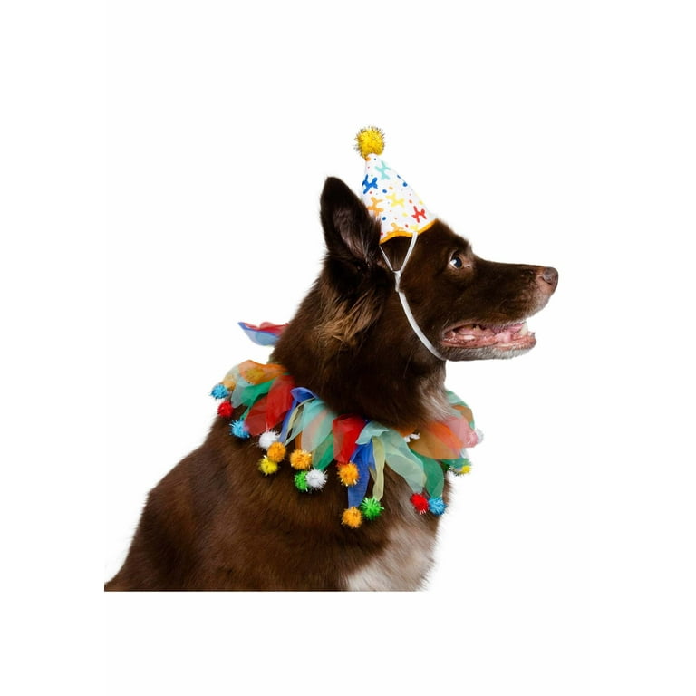 Happy birthday dog outfit online