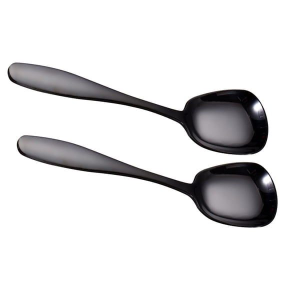 LOLIPPYY 2-Pack Large Buffet Serving Spoons, Black 304 Stainless Steel, and Easy to Clean