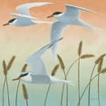 thumbnail image 2 of Lovell, Kathrine 20x20 White Modern Wood Framed Museum Art Print Titled - Free as a Bird II v2, 2 of 4