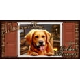 thumbnail image 2 of Golden Retriever "Paws on the Windowsill" A House is Not a Home Dog Sign / Plaque featuring the art of S. Rogers, 2 of 2