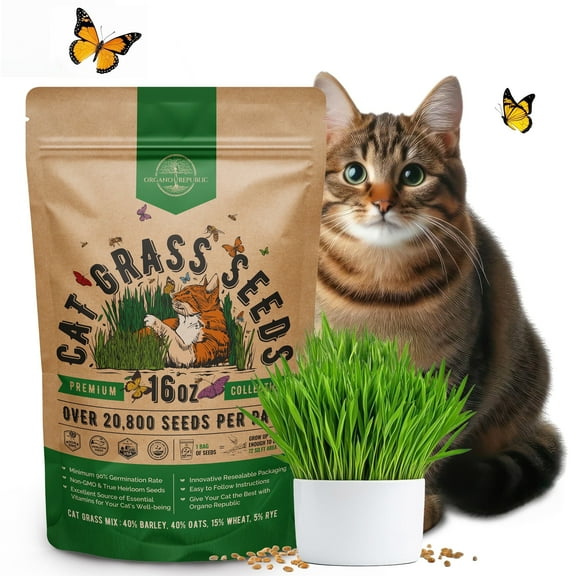 Cat Grass Seeds Mix - 20,800 Non-GMO Heirloom Seeds for Cats & Pets, 16 oz Pack for Growing Fresh Barley, Oat, Rye & Wheat Grass Seeds for Planting, Indoor Plants for Pets, Resealable Bag – USA Grown