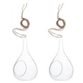 thumbnail image 1 of Miangastore 2pcs Hanging Hydroponic Vases Hanging Glass Terrarium Flowerpot Plant Bottle, 1 of 8