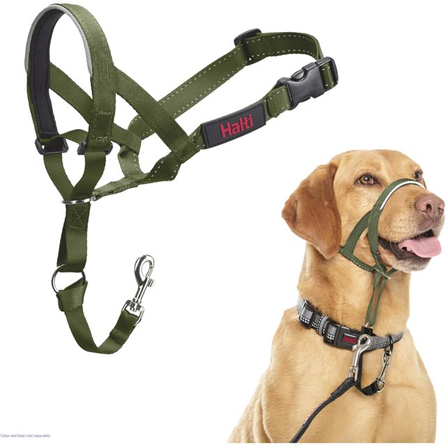 czcpp-HALTI Collier de Tête - pour Empêcher Votre Chien de Tirer sur la Laisse. Réglable, Réfléchissant et Léger, avec Bande de Nez Rembourrée. Collier Anti-Traction pour Chiens Moyens (Taille 3, Vert Forêt)